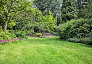 Optimiser l'expérience du jardin à Ivergny